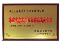 龍頭企業(yè)