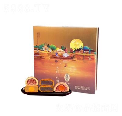 ����ӛ������Y���b�������