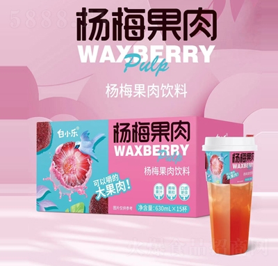 白小樂(lè)楊梅果肉果汁飲料630mlX15杯