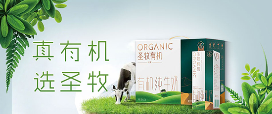 ʥ���ЙC(j��)��ţ�̶Y��